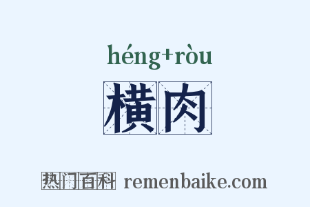 横肉是什么意思的图片